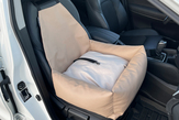 Dog Car Seat / Pet Travel Booster