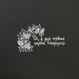 Ой у лузі...